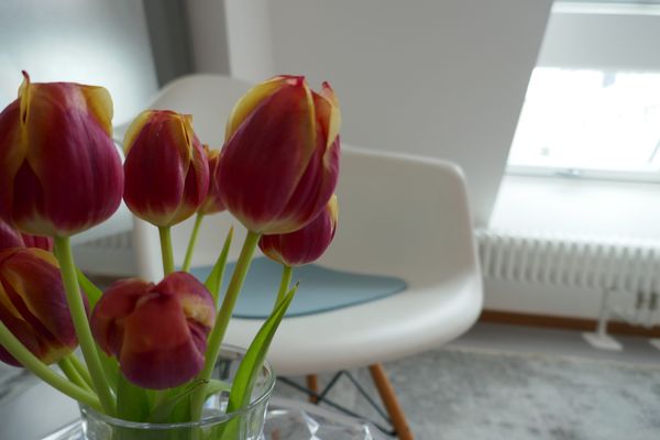 Blumen vor einem Stuhl